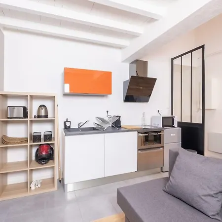 New! A Nice Flat In The Center! Lyon